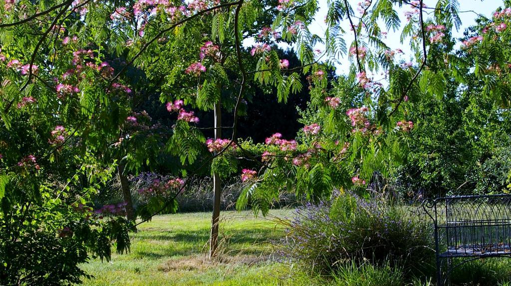 L'Olivier Villa Monts-sur-Guesnes Ngoại thất bức ảnh