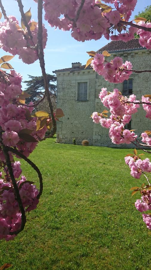 L'Olivier Villa Monts-sur-Guesnes Ngoại thất bức ảnh
