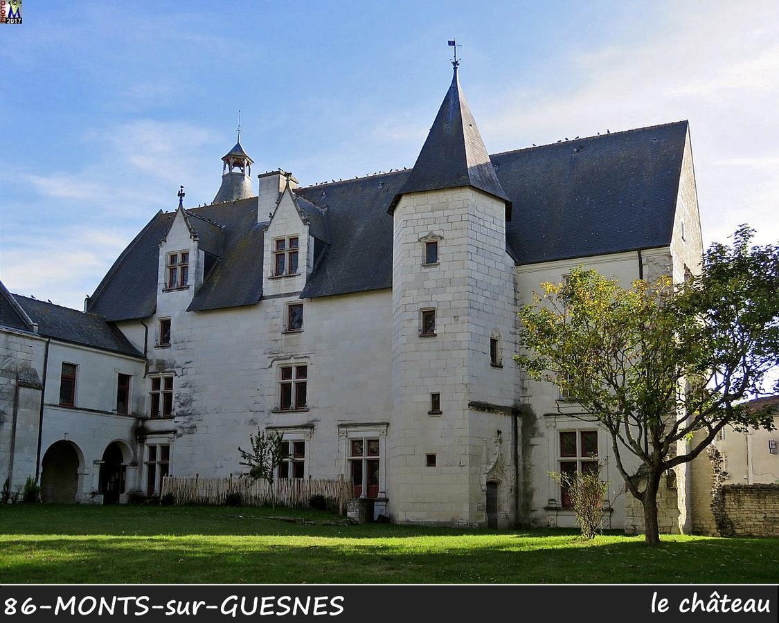 L'Olivier Villa Monts-sur-Guesnes Ngoại thất bức ảnh