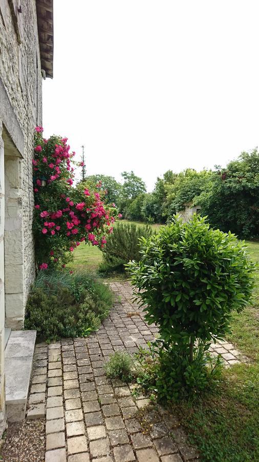 L'Olivier Villa Monts-sur-Guesnes Ngoại thất bức ảnh