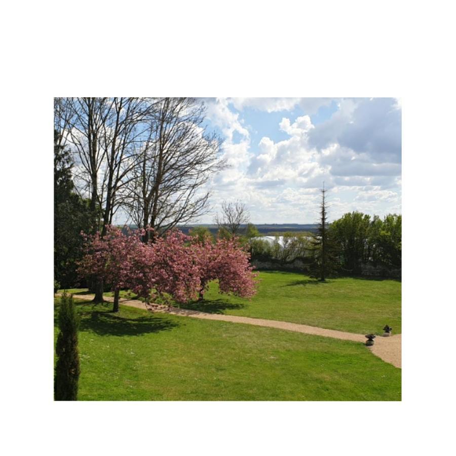 L'Olivier Villa Monts-sur-Guesnes Ngoại thất bức ảnh